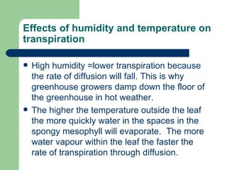 Effects of humidity and temperature on transpiration High humidity =lower transpiration because the rate of diffusion will fall. This is why greenhouse growers damp down the floor of the greenhouse in hot weather. The higher the temperature outside the leaf the more quickly water in the spaces in the spongy mesophyll will evaporate.  The more water vapour within the leaf the faster the rate of transpiration through diffusion. 