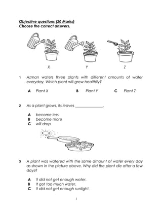 Objective questions (20 Marks)
Choose the correct answers.
X Y Z
1 Azman waters three plants with different amounts of water
everyday. Which plant will grow healthily?
A Plant X B Plant Y C Plant Z
2 As a plant grows, its leaves _______________.
A become less
B become more
C will drop
3 A plant was watered with the same amount of water every day
as shown in the picture above. Why did the plant die after a few
days?
A It did not get enough water.
B It got too much water.
C It did not get enough sunlight.
1
 