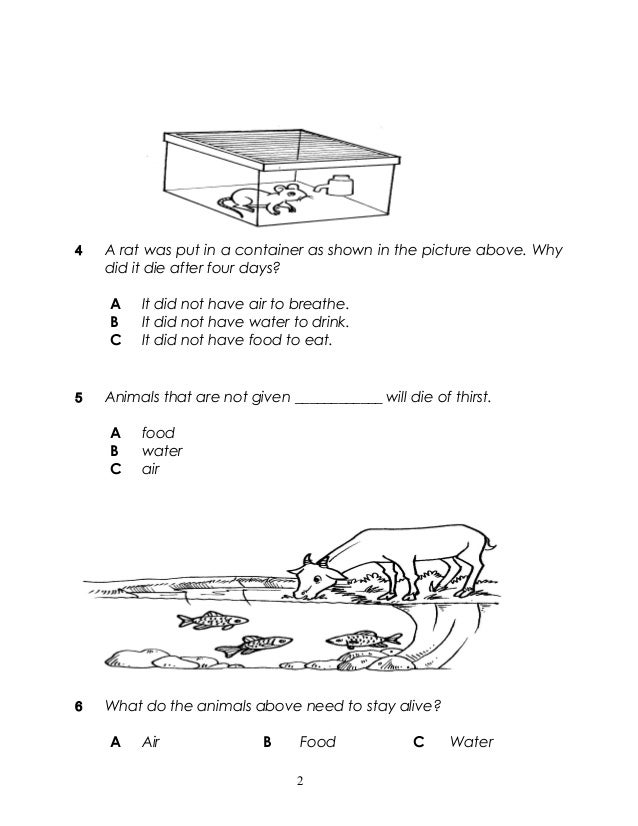 Contoh Soalan Sains Kertas 2 Tingkatan 4 Slideshare AydenminWalsh