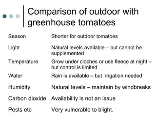 Comparison of outdoor with
greenhouse tomatoes
Season Shorter for outdoor tomatoes
Light Natural levels available – but cannot be
supplemented
Temperature Grow under cloches or use fleece at night –
but control is limited
Water Rain is available – but irrigation needed
Humidity Natural levels – maintain by windbreaks
Carbon dioxide Availability is not an issue
Pests etc Very vulnerable to blight.
 