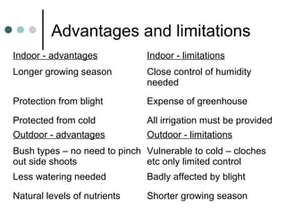 Advantages and limitations
Indoor - advantages Indoor - limitations
Longer growing season Close control of humidity
needed
Protection from blight Expense of greenhouse
Protected from cold All irrigation must be provided
Outdoor - advantages Outdoor - limitations
Bush types – no need to pinch
out side shoots
Vulnerable to cold – cloches
etc only limited control
Less watering needed Badly affected by blight
Natural levels of nutrients Shorter growing season
 