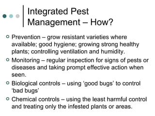 Integrated Pest Management – How? Prevention – grow resistant varieties where available; good hygiene; growing strong healthy plants; controlling ventilation and humidity. Monitoring – regular inspection for signs of pests or diseases and taking prompt effective action when seen. Biological controls – using ‘good bugs’ to control ‘bad bugs’ Chemical controls – using the least harmful control and treating only the infested plants or areas. 