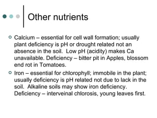 Other nutrients Calcium – essential for cell wall formation; usually plant deficiency is pH or drought related not an absence in the soil.  Low pH (acidity) makes Ca unavailable. Deficiency – bitter pit in Apples, blossom end rot in Tomatoes.  Iron – essential for chlorophyll; immobile in the plant; usually deficiency is pH related not due to lack in the soil.  Alkaline soils may show iron deficiency. Deficiency – interveinal chlorosis, young leaves first. 