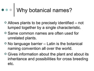 Why botanical names? Allows plants to be precisely identified – not lumped together by a single characteristic. Same common names are often used for unrelated plants. No language barrier – Latin is the botanical naming convention all over the world. Gives information about the plant and about its inheritance and possibilities for cross breeding etc.  
