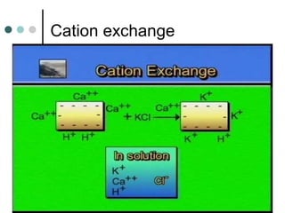 Cation exchange
 