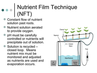 Nutrient Film Technique
(NFT)
 Constant flow of nutrient
solution past roots.
 Nutrient solution aerated
to provide oxygen.
 pH must be carefully
controlled or nutrients will
precipitate out of solution.
 Solution is recycled –
closed loop. Means
nutrient mix must be
monitored and adjusted
as nutrients are used and
evaporation occurs.
 