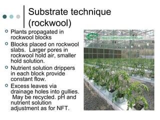 Substrate technique
(rockwool)
 Plants propagated in
rockwool blocks
 Blocks placed on rockwool
slabs. Larger pores in
rockwool hold air, smaller
hold solution.
 Nutrient solution drippers
in each block provide
constant flow.
 Excess leaves via
drainage holes into gullies.
May be recycled. pH and
nutrient solution
adjustment as for NFT.
 