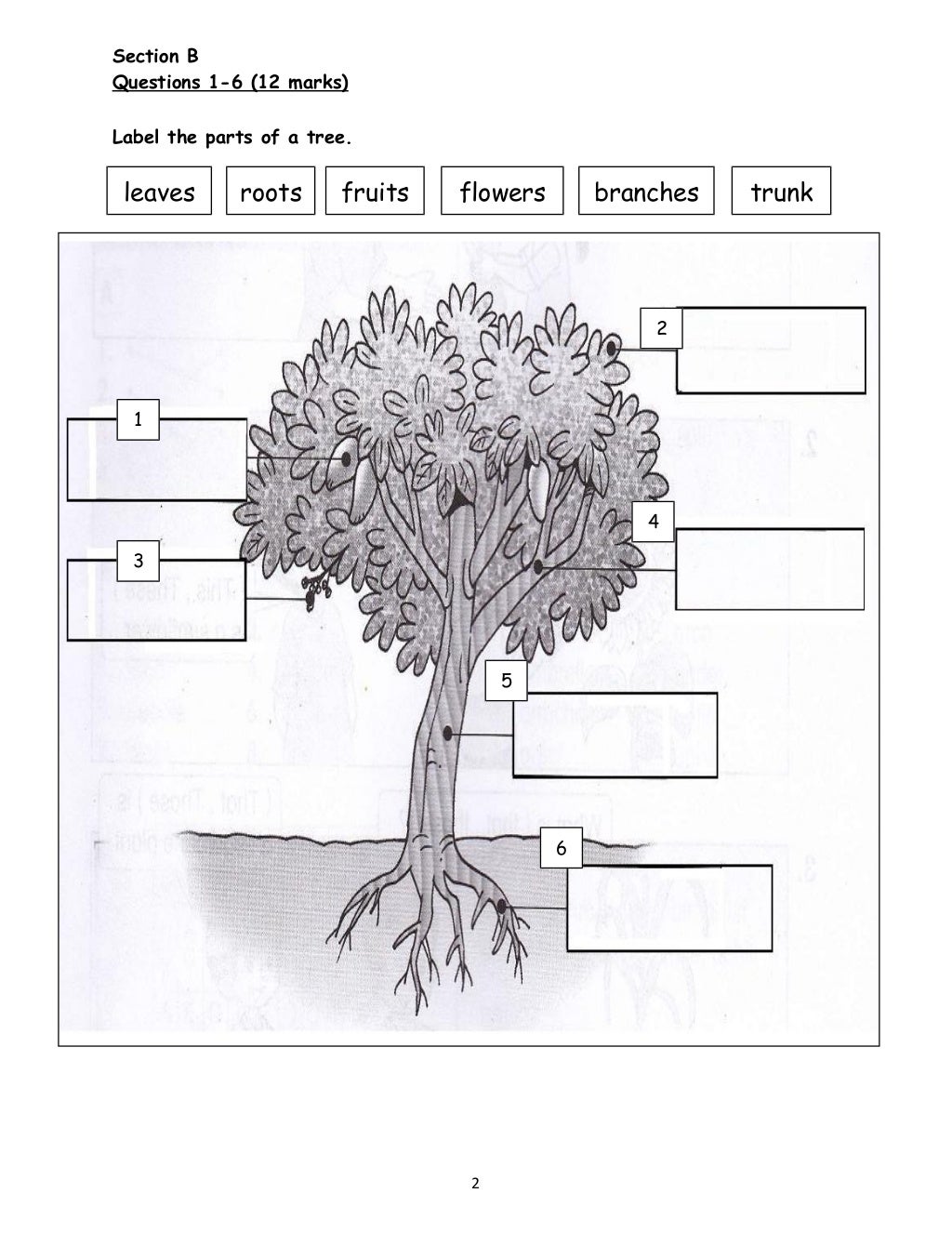 year 3 kssr assessment 1