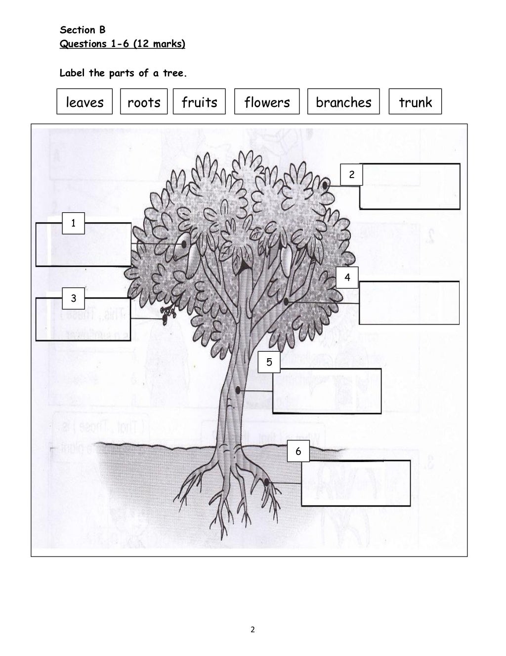 year-3-kssr-assessment-1