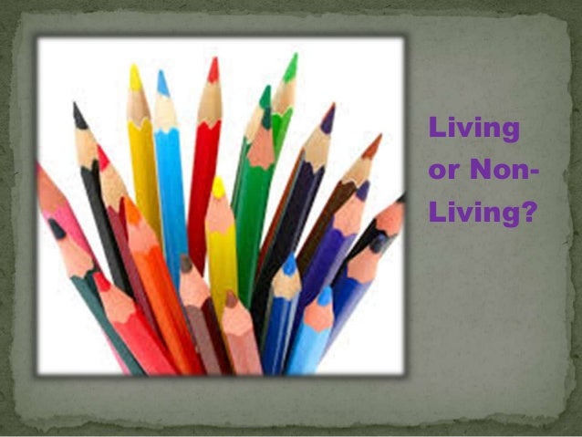 Year 3 science – living and non living things