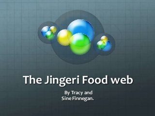 The Jingeri Food web
By Tracy and
Sine Finnegan.

 