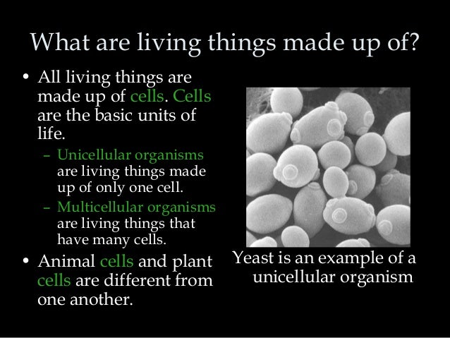 What are all living things made of?