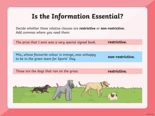 Is the Information Essential?
Decide whether these relative clauses are restrictive or non-restrictive.
Add commas where you need them:
The prize that I won was a very special signed book.
Mia whose favourite colour is orange was unhappy
to be in the green team for Sports’ Day.
Those are the dogs that ran on the grass.
restrictive.
non-restrictive.
restrictive.
, ,
 