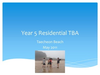 Year 5 Residential TBA Taecheon Beach  May 2011 