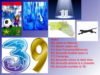 Hello!
My name is Marcos.
I'm eleven years old.
I'm from Ferreries(Minorca).
My favourite footbal team is
F.C.Ferreries.
My favourite colour is dark blue.
My favourite animal is a cheetah.
My favourite number is 39.
 