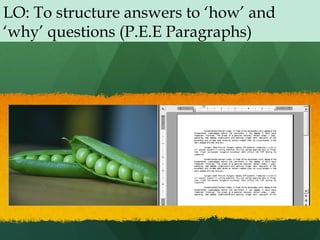 LO: To structure answers to ‘how’ and
‘why’ questions (P.E.E Paragraphs)
 