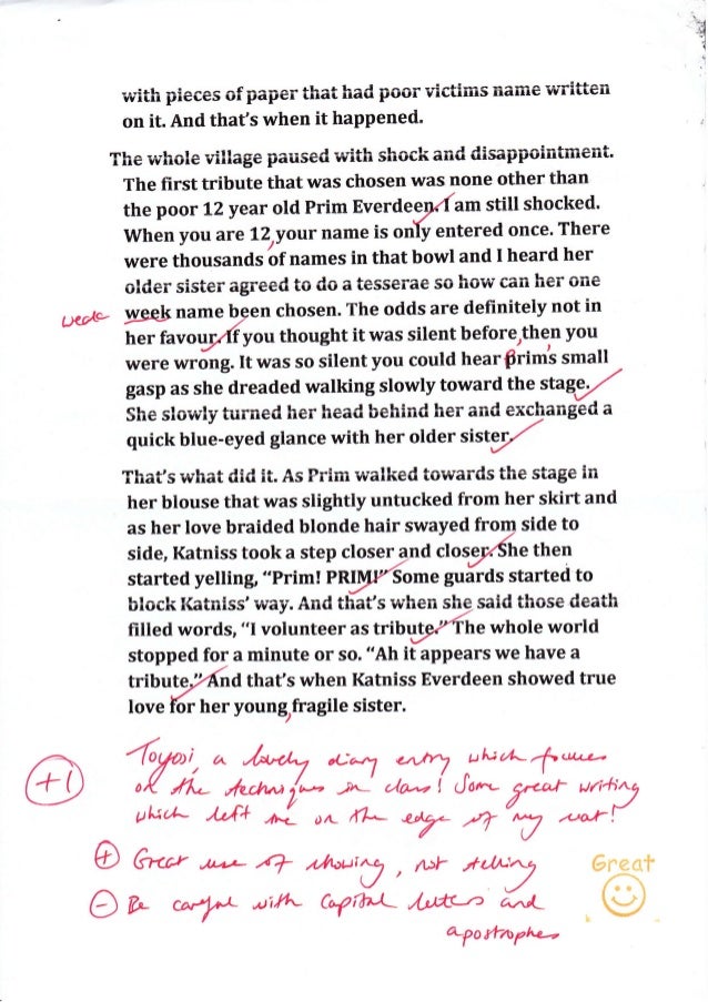 Diary entry homework image