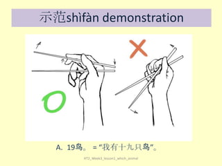 示范shìfàn demonstration

A. 19鸟。 = “我有十九只鸟”。
HT2_Week3_lesson1_which_animal

 