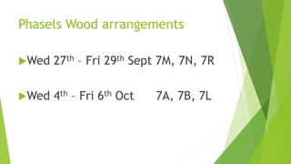 Phasels Wood arrangements
Wed 27th – Fri 29th Sept 7M, 7N, 7R
Wed 4th – Fri 6th Oct 7A, 7B, 7L
 