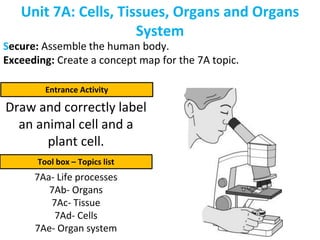 Unit 7A: Cells, Tissues, Organs and Organs
System
Secure: Assemble the human body.
Exceeding: Create a concept map for the 7A topic.
Entrance Activity
Tool box – Topics list
7Aa- Life processes
7Ab- Organs
7Ac- Tissue
7Ad- Cells
7Ae- Organ system
Draw and correctly label
an animal cell and a
plant cell.
 