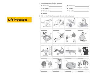 Year 7 Science Revision Pack C1.pptx