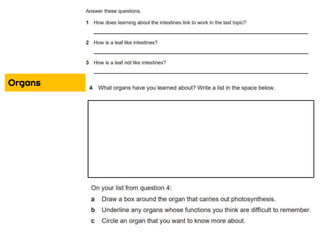 Year 7 Science Revision Pack C1.pptx