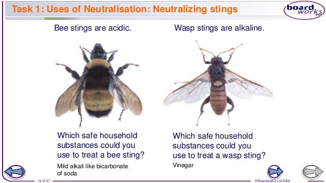 Year 8 Term 2 Unit 4 Lesson 3 Neutralization