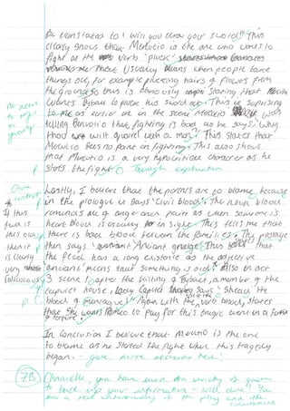 Year 8 blame essay Chanielle