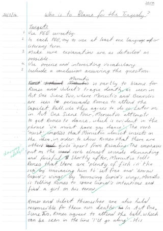 Year 8 blame essay Sara