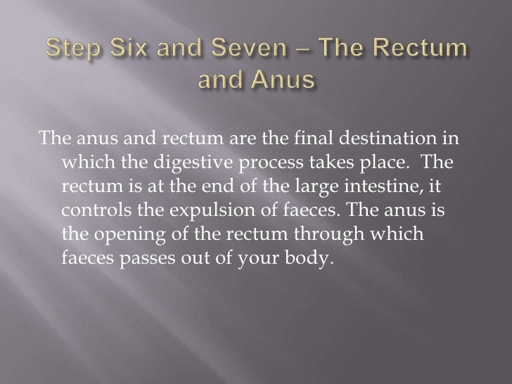 Year 8 body systems interactive task