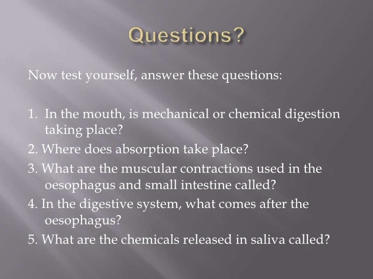 Year 8 body systems interactive task