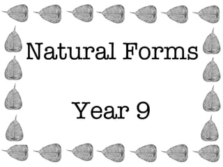 Natural Forms

   Year 9
 