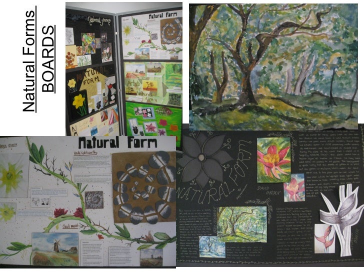 Year 9 Natural Forms Boards