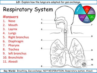 Year 9 GCSE Science Synergy Mock Revision | PPTX