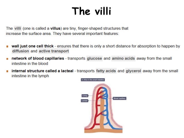 Year 9 GCSE Science Synergy Mock Revision