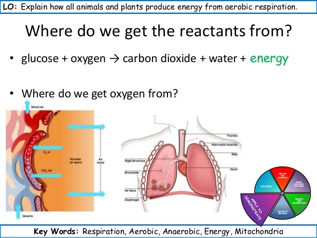 Year 9 GCSE Science Synergy Mock Revision