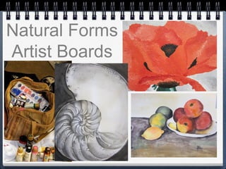 Natural Forms
Artist Boards
 
