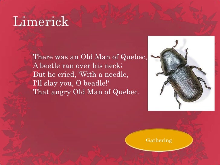 Cool things about cockroaches picture