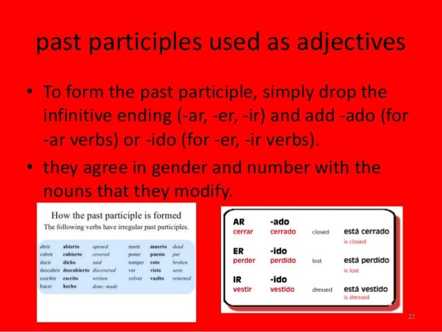 Year grammar book