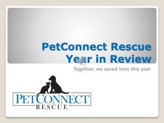 PetConnect Rescue
Year in Review
Together, we saved lives this year
 