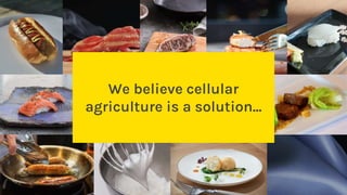 We believe cellular
agriculture is a solution...
 