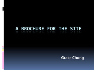 a brochure for the site Grace Chong 