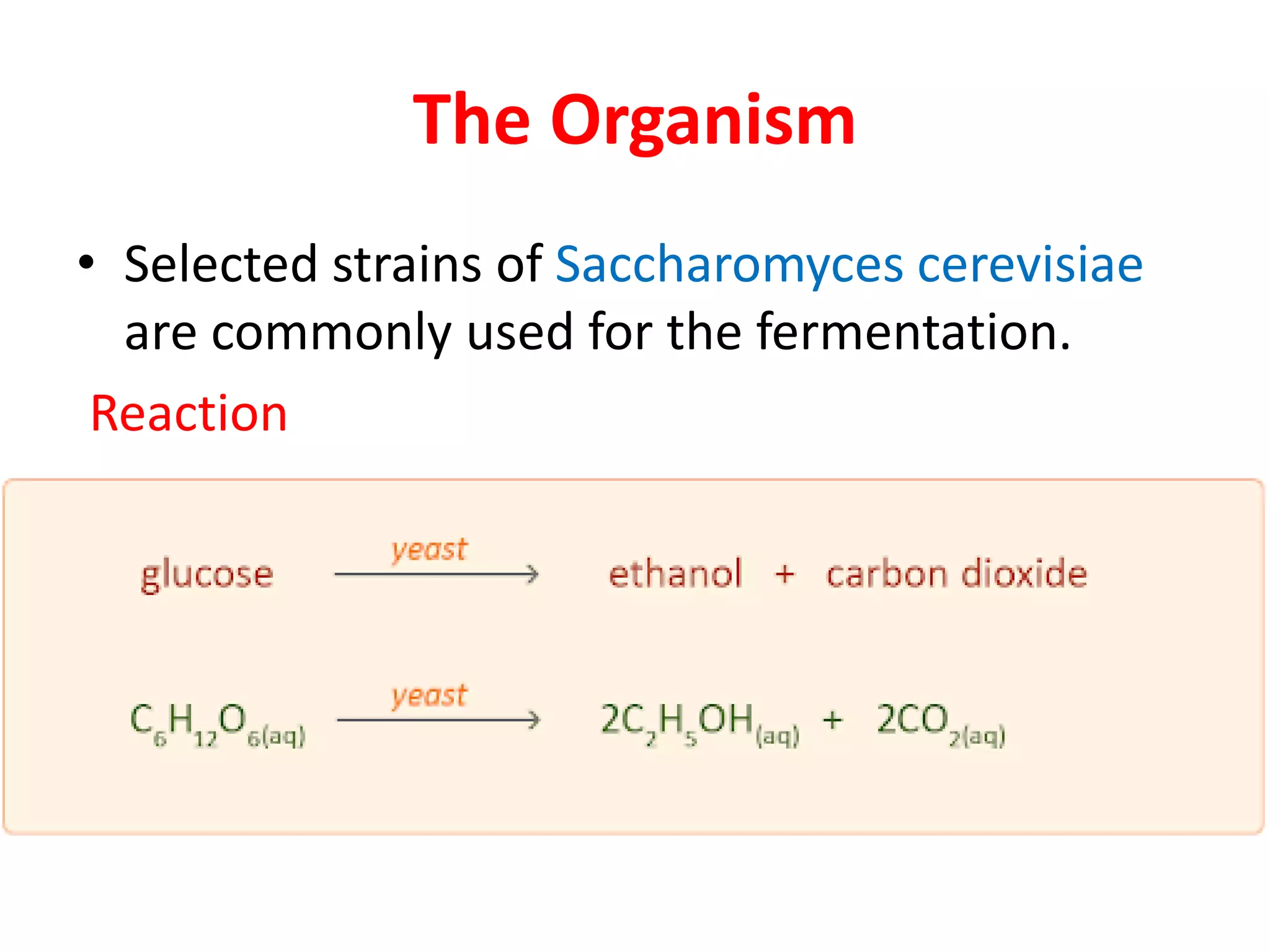 The Organism
• Selected strains of Saccharomyces cerevisiae
are commonly used for the fermentation.
Reaction
 