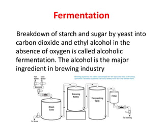 Fermentation
Breakdown of starch and sugar by yeast into
carbon dioxide and ethyl alcohol in the
absence of oxygen is called alcoholic
fermentation. The alcohol is the major
ingredient in brewing industry
 