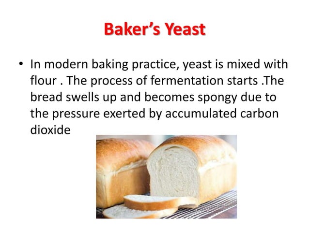 yeast presentation slideshare