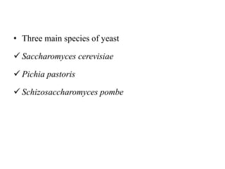 • Three main species of yeast
 Saccharomyces cerevisiae
 Pichia pastoris
 Schizosaccharomyces pombe
 