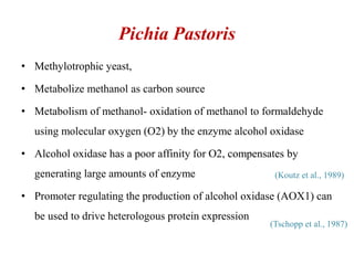 Pichia Pastoris
• Methylotrophic yeast,
• Metabolize methanol as carbon source
• Metabolism of methanol- oxidation of methanol to formaldehyde
using molecular oxygen (O2) by the enzyme alcohol oxidase
• Alcohol oxidase has a poor affinity for O2, compensates by
generating large amounts of enzyme
• Promoter regulating the production of alcohol oxidase (AOX1) can
be used to drive heterologous protein expression
(Koutz et al., 1989)
(Tschopp et al., 1987)
 