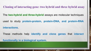 yeast 2 hybrid cross suitable for study protein protein interaction.pptx