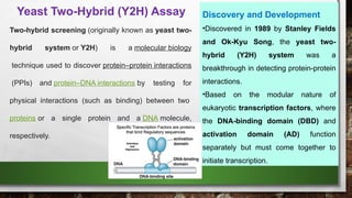 yeast 2 hybrid cross suitable for study protein protein interaction.pptx