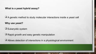 yeast 2 hybrid cross suitable for study protein protein interaction.pptx